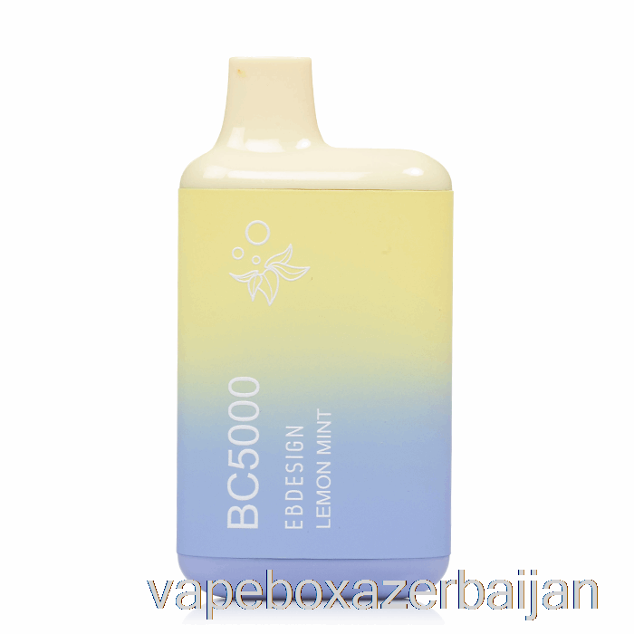 Vape Smoke BC5000 Disposable Lemon Mint